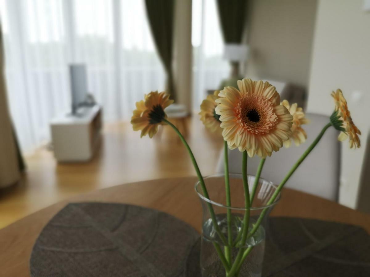 Luxury Apartments Druskininkai Eksteriør bilde